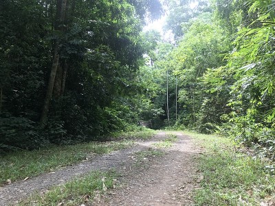 泰国北部的高山路线