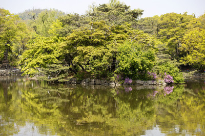 长庚湖的倒影