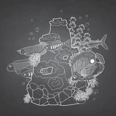 图解水族馆鱼与珊瑚礁