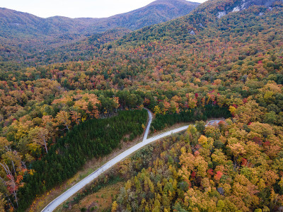 秋天，北卡罗莱纳Lure湖烟囱岩附近的山路