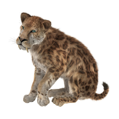 3D渲染剑齿虎在白色