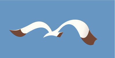 一只海鸥