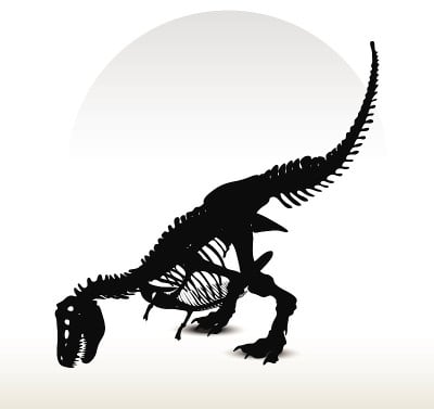 恐龙trex骨架
