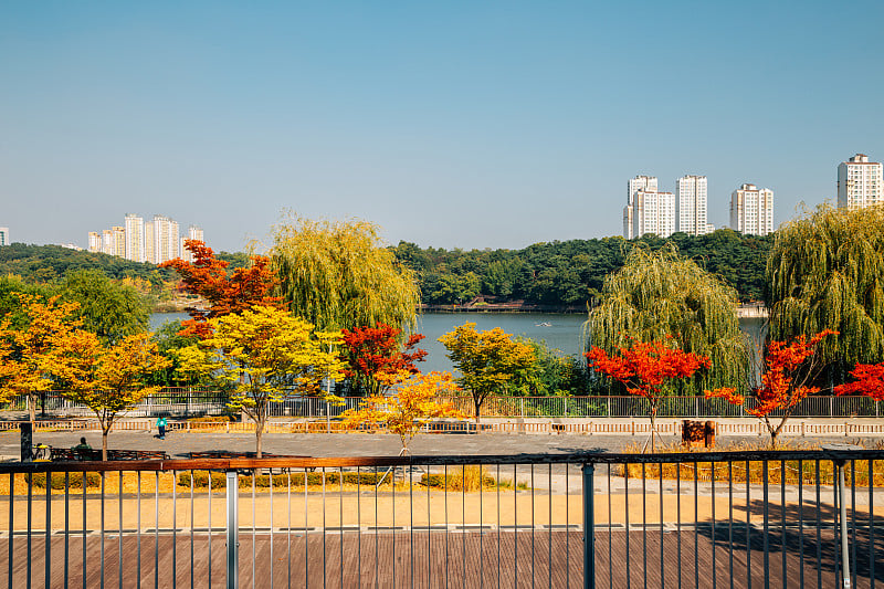 韩国水原市秋日的光阳湖公园