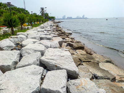 海岸上有花，石头和石头