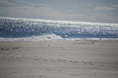Chincoteague
