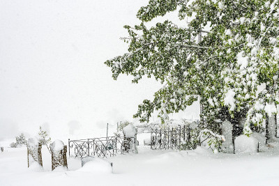 墓地在暴雪