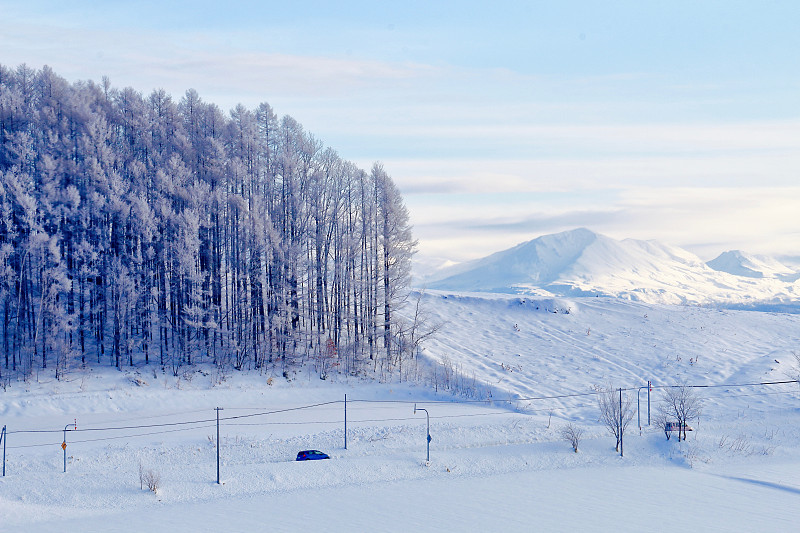 森林和雪山