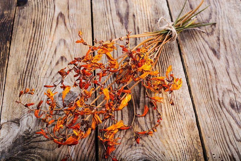 干花Crocosmia