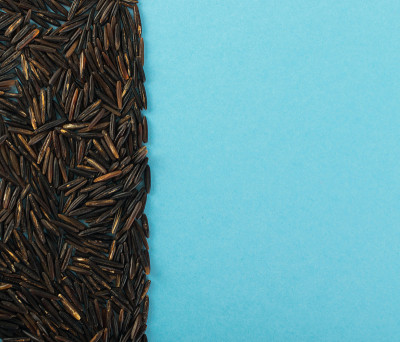 Raw Black Wild Rice on Blue Paper Background
