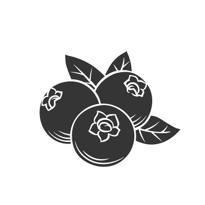 蓝莓字形图标