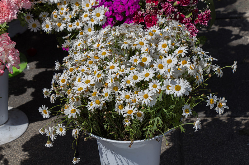 花市花瓶里五颜六色的花