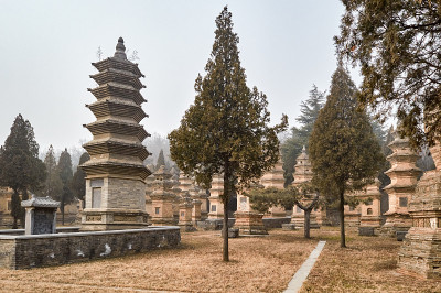 中国少林寺的宝塔森林