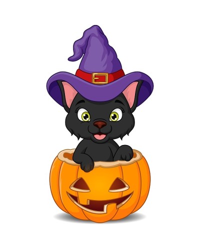万圣节南瓜里的卡通黑猫戴着女巫帽