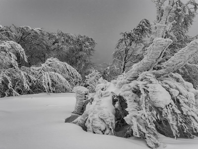 大雪伴大风。极端恶劣的天气状况。
