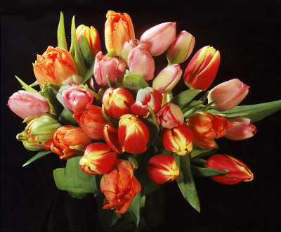 花束,花,