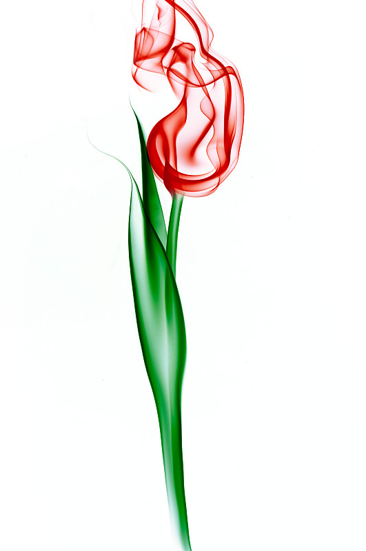 红色的花