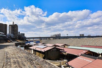 岐阜地区岐阜市长垣河堤上的鸬鹚捕鱼