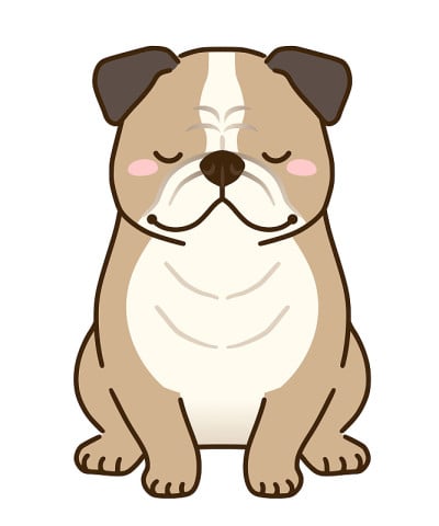 斗牛犬的问候