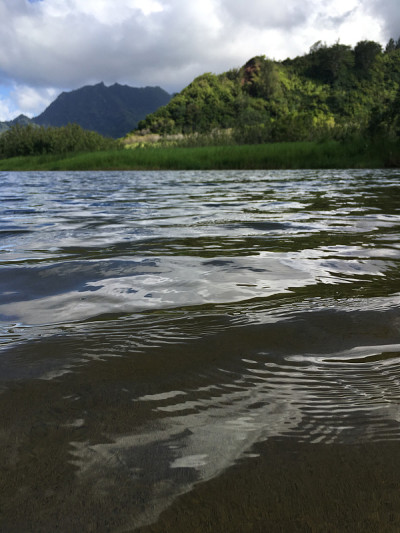 夏威夷考艾岛哈纳雷海湾的怀奥里河，进入太平洋。