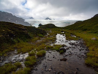 基奈峡湾国家公园哈定冰原出口冰川附近的沼泽地带