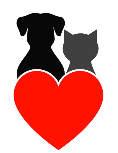 狗，猫和心