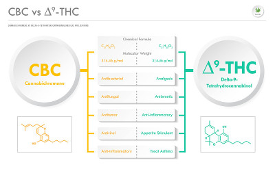 CBC vs 9-THC, Cannabichromene vs Delta 8 Tetrahydr