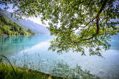 瑞士湖Brienz