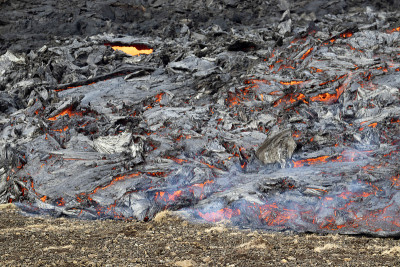 火山熔岩的纹理。冰岛Fagradalsfjall火山爆发。