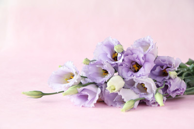Eustoma花束