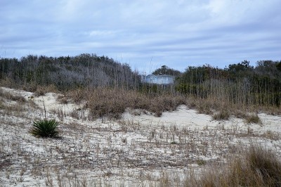东海滩景色与小屋