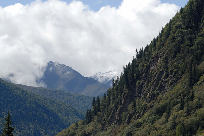 山