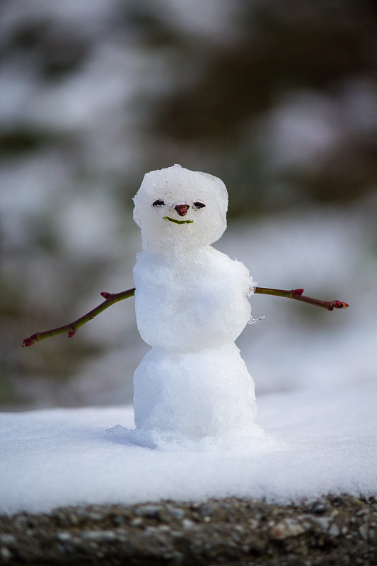 用树枝做手的小雪人