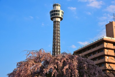 横滨