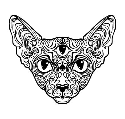 斯芬克斯猫图案。第三只眼
