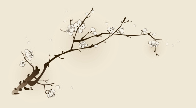 梅花与线条设计