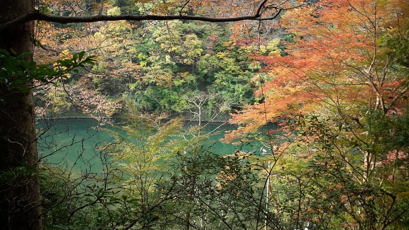 秋日俯瞰岚山峡谷