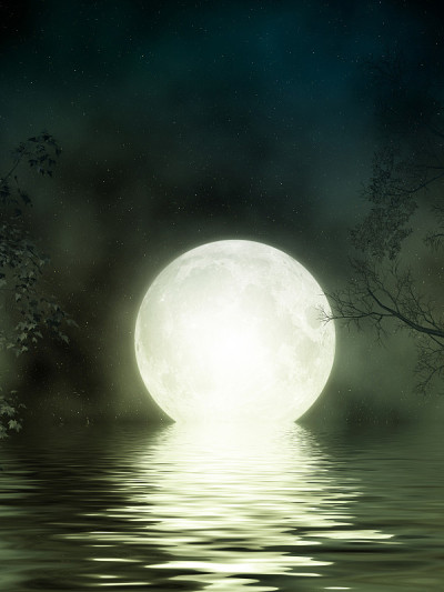 奇幻景观