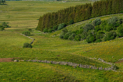 在法国的乡村风景与干燥的石头墙，aubrac,Lozere，法国。