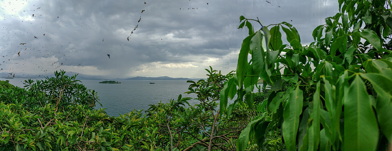 基伍湖，卢旺达(非洲)