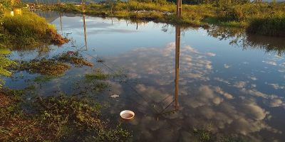 登革热蚊子滋生和危险水域