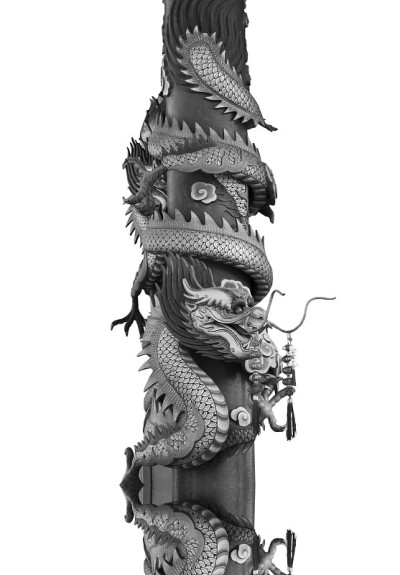 龙在极