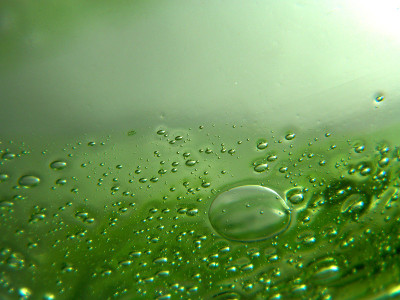 绿色的油滴在水中。不同大小的气泡在绿色抽象背景上