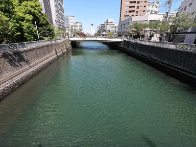 品川目黑河的景色