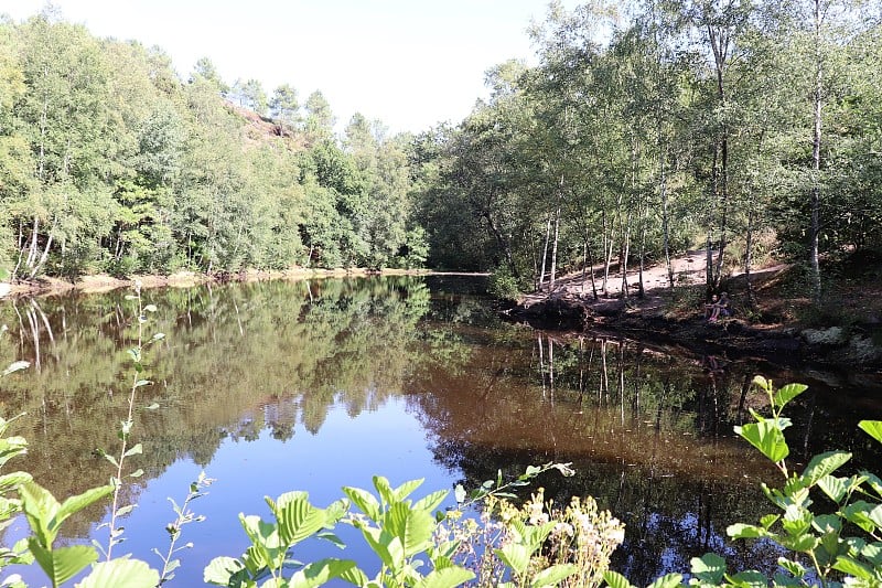 湖仙镜在森林Brocéliande