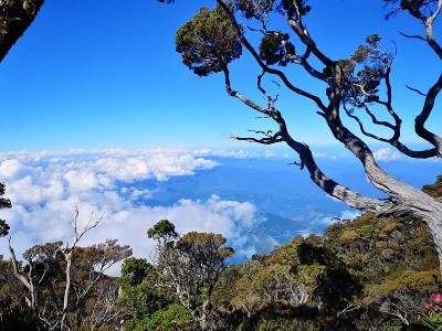 徒步旅行，基纳巴卢山，沙巴州，马来西亚婆罗洲