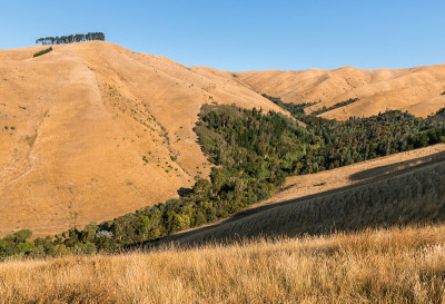 新西兰南岛布莱尼姆的Wither Hills