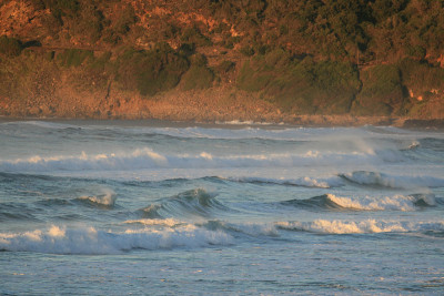 荒野海滩