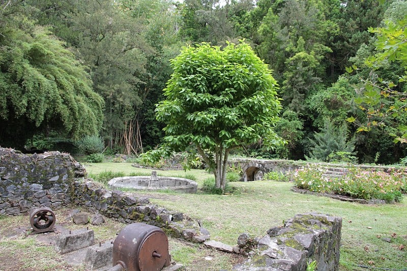 萨拉齐马戏团地狱堡的萨拉齐古浴场;留尼汪岛;马斯克林岛屿;法国海外领地