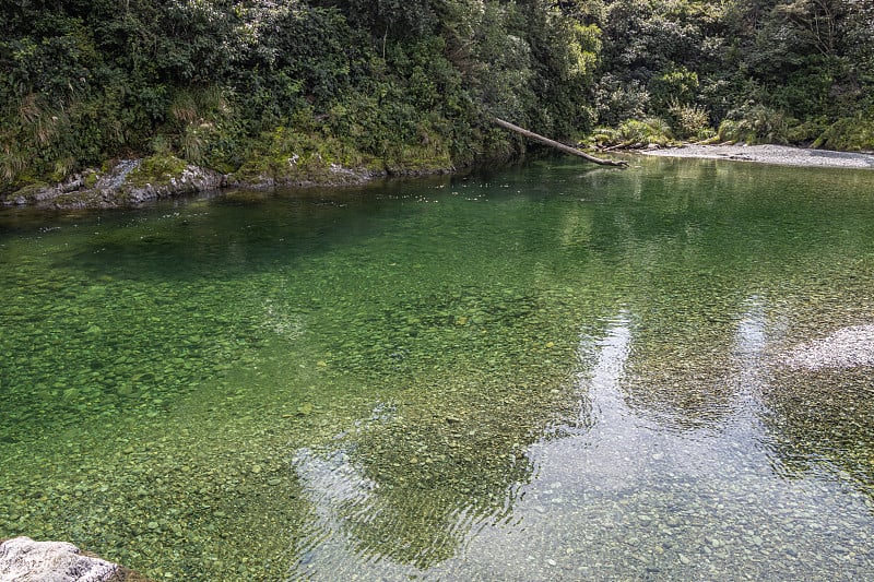 清澈，绿色的河水